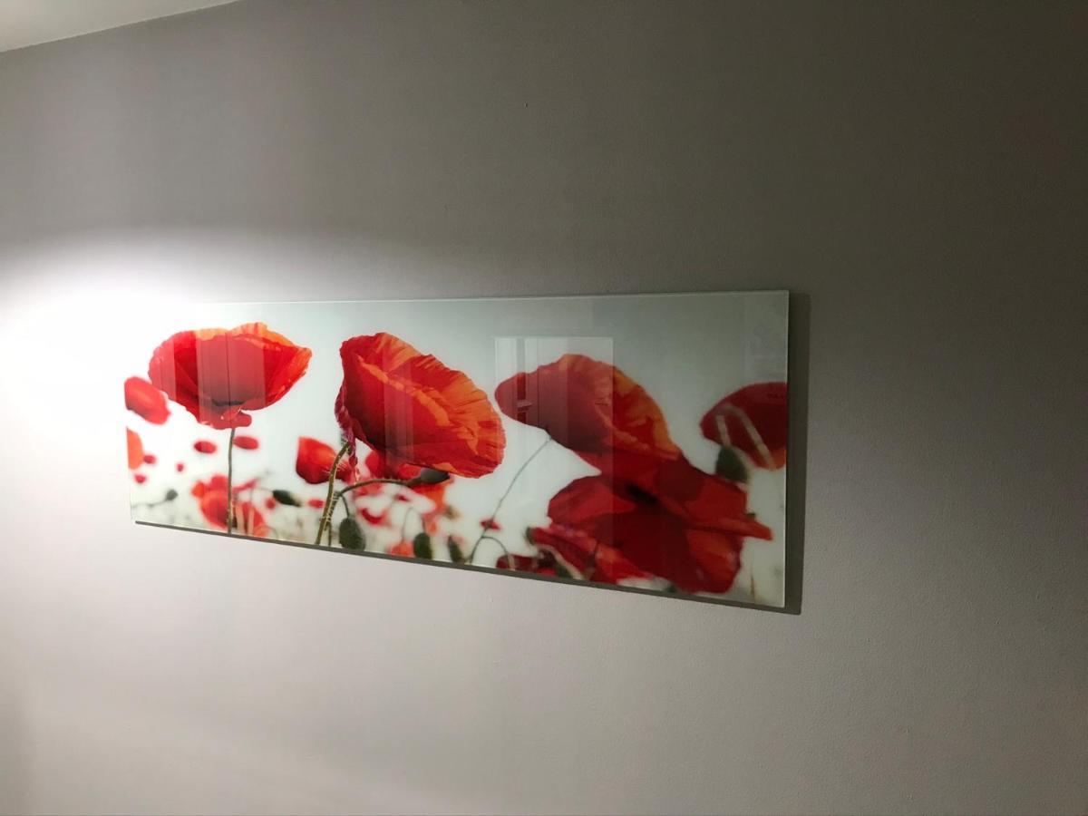 Flanders Fields Apartment Dingwall Bagian luar foto